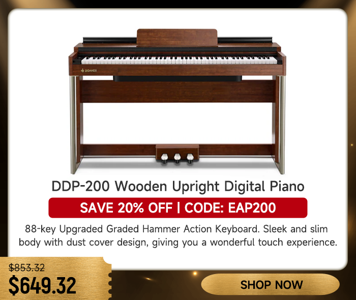 Donner DDP-200 Wooden Dynamic Hammer Action 88 Key Weighted Upright Digital Piano